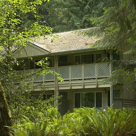 Lake Crescent Lodge Port Crescent Zewnętrze zdjęcie